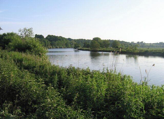 River Yare, west of Surlingham.