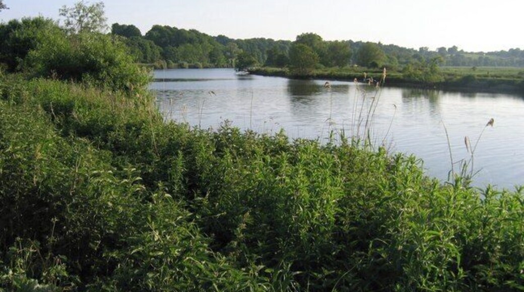 River Yare, west of Surlingham.