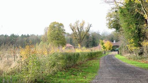 Driveway to Hall Farm Barns