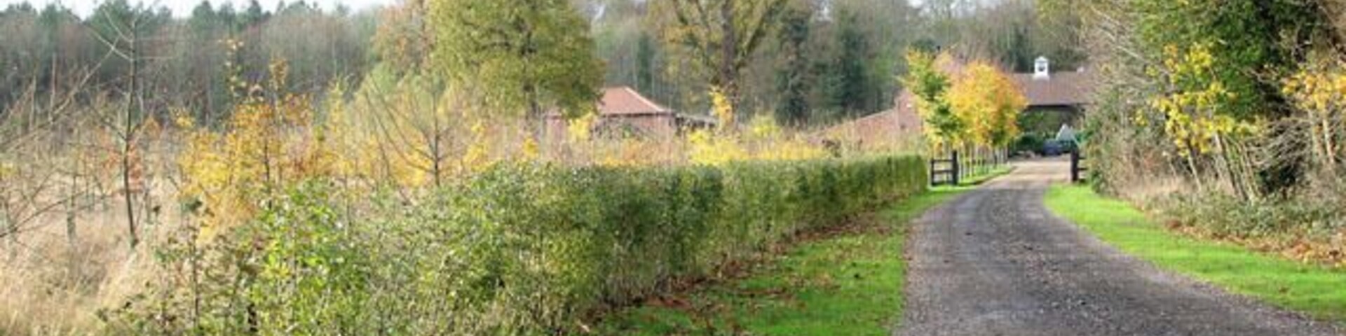 Driveway to Hall Farm Barns
