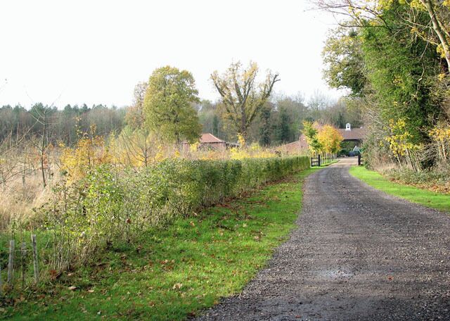 A rural road curving through a field with trees and a building in the distance.