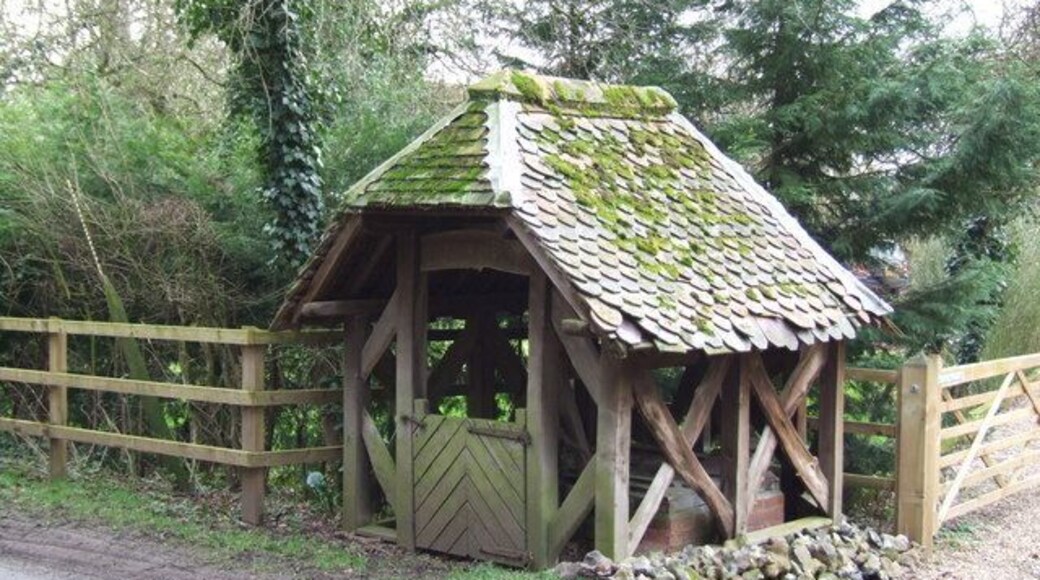 Well On the roadside close to Tacolneston Hall