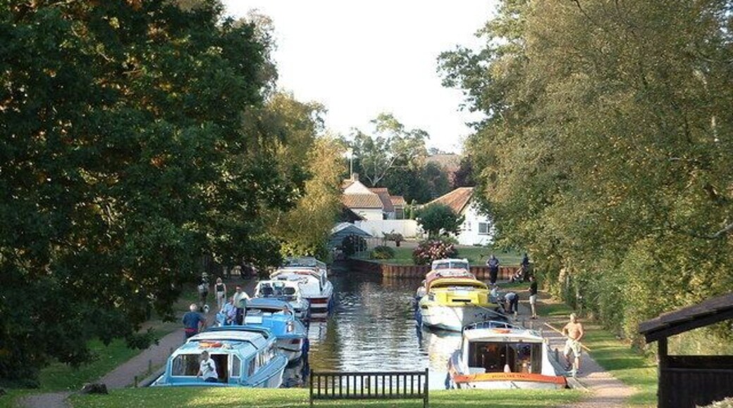Neatishead Staithe Holiday cruisers in the evening sun.