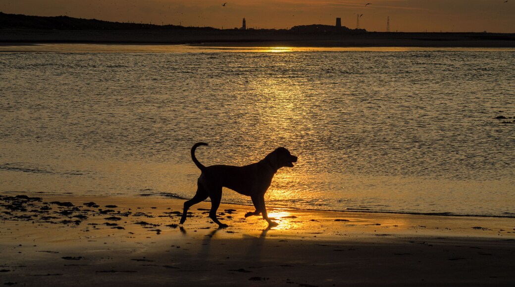 Sunset on the beach at Sea Palling, looking towards Happisburgh lighthouse in the distance. Taken June 2017. Beach can be acceded from car park and from pathways over the dunes. Beach still accessible at high tide, but best visited when tide is retreating. Nice cafe and fish and chips nearby. Public toilets near the car park. We did sea a common seal offshore and starfishes at low tide in the rock pools.