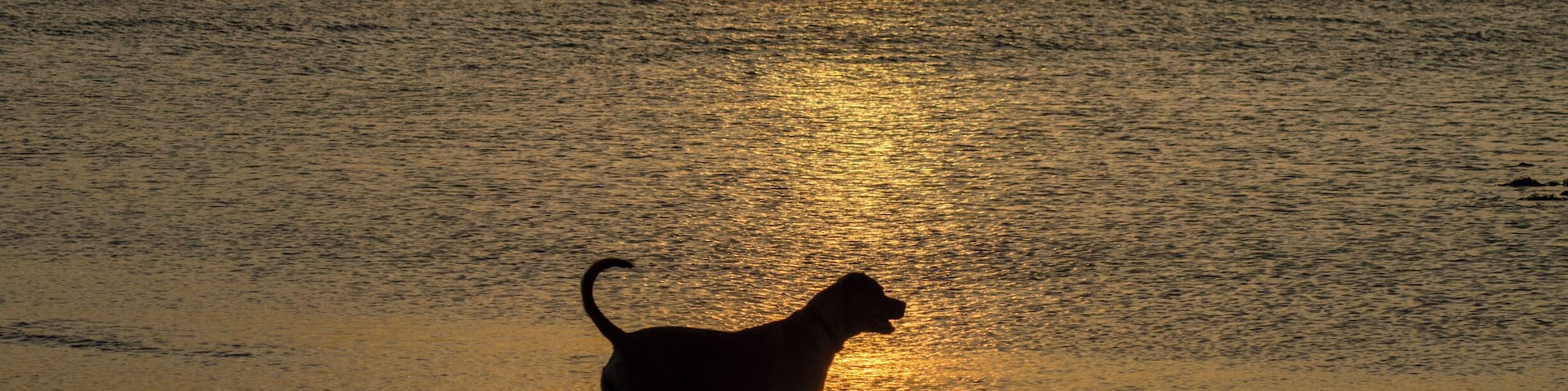 Sunset on the beach at Sea Palling, looking towards Happisburgh lighthouse in the distance. Taken June 2017. Beach can be acceded from car park and from pathways over the dunes. Beach still accessible at high tide, but best visited when tide is retreating. Nice cafe and fish and chips nearby. Public toilets near the car park. We did sea a common seal offshore and starfishes at low tide in the rock pools.