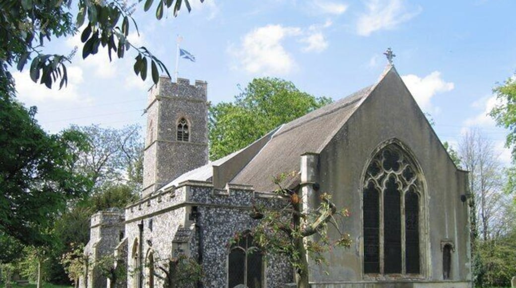 St. Andrew's Church, Trowse. The church has its own website : http://www.trowsechurch.co.uk
