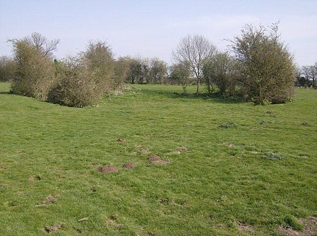 Pond at Hales Green There are many depressions on the common denoting the site, possibly, of a former pond.