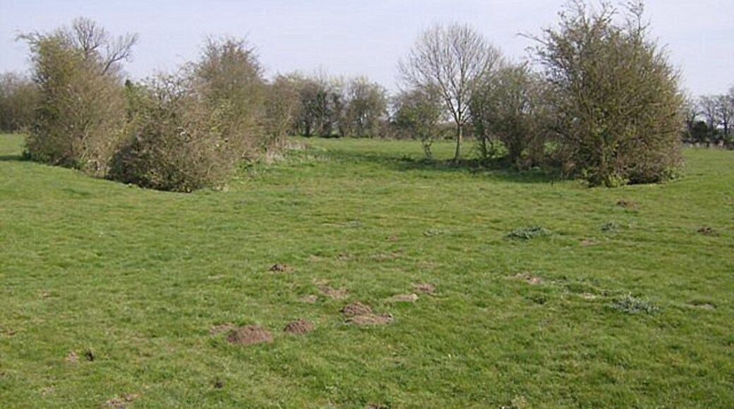 Pond at Hales Green There are many depressions on the common denoting the site, possibly, of a former pond.