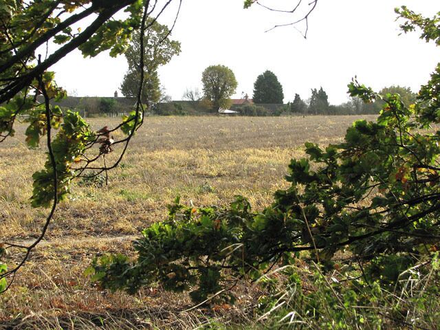 Stubble field east of Big Back Lane