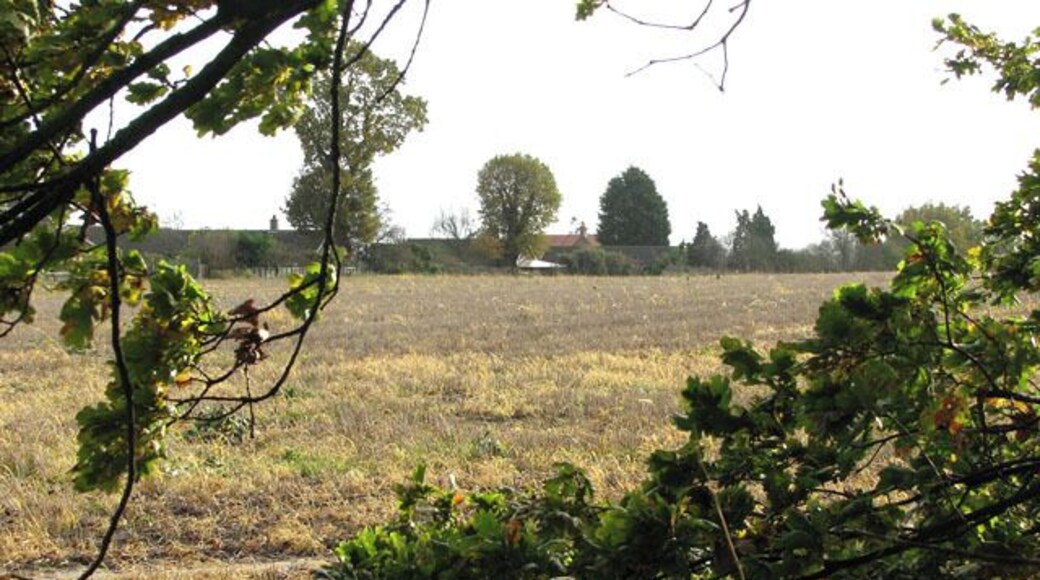 Stubble field east of Big Back Lane