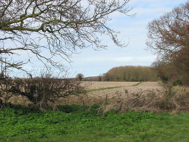 Field adjoining pasture. This view was taken from the Paston Way which leads past here. The Paston Way takes its name from the Pastons - a landowning and merchant family during the Medieval and Tudor periods - who adopted their name from the small village of the same name, located on the north east coast of Norfolk > 600798. The walk starts by the gates of Paston College > 268662 in North Walsham, crossing the Market Place > 617099. Traversing the churchyard of St. Nicholas > 772307 from the south it finishes in the church of St Peter and St Paul > 873394 at Cromer. The Paston Way leads through sixteen villages and towns and links with the Weavers Way both at Cromer and North Walsham.