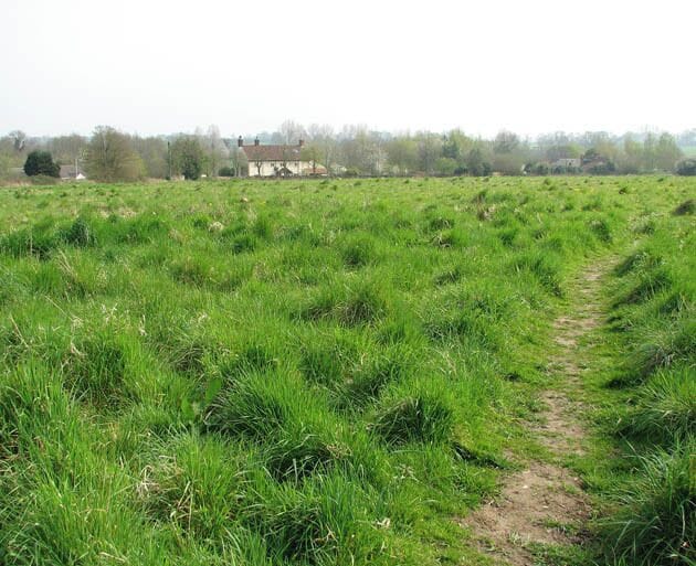 Un campo cubierto de hierba con un sendero de tierra que lleva a un edificio a lo lejos.