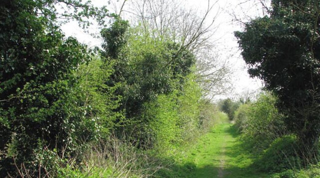 Corpusty - Adams Lane turns into footpath. Once past the houses the lane narrows and turns into a footpath. Adams Lane turns off Station Road which it links with the B1149 > 1257366 further to the east. The lane runs parallel with the dismantled railway trackbed. The villages Corpusty and Saxthorpe, situated either side of the river Bure, merge into each other. Each village has their own church but St Andrew's > https://www.geograph.org.uk/photo/309082 serves both villages ever since Corpusty's Saint Peter's > https://www.geograph.org.uk/photo/873327 - located on the outskirts of the village and separated from it by the busy B1149 - closed and came in the care of the Friends of Friendless Churches.