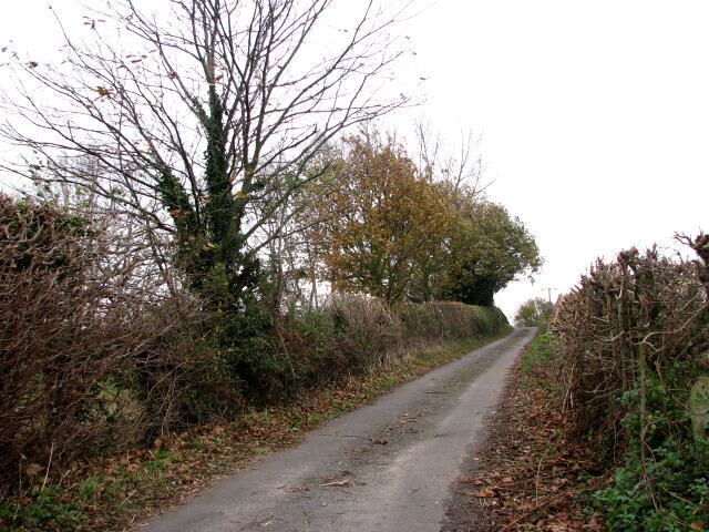 Neatly trimmed hedgerows Approaching the bridge across the Bure Valley Railway line on Back Lane, a quiet country lane that connects Buxton Road with The Street in Brampton.