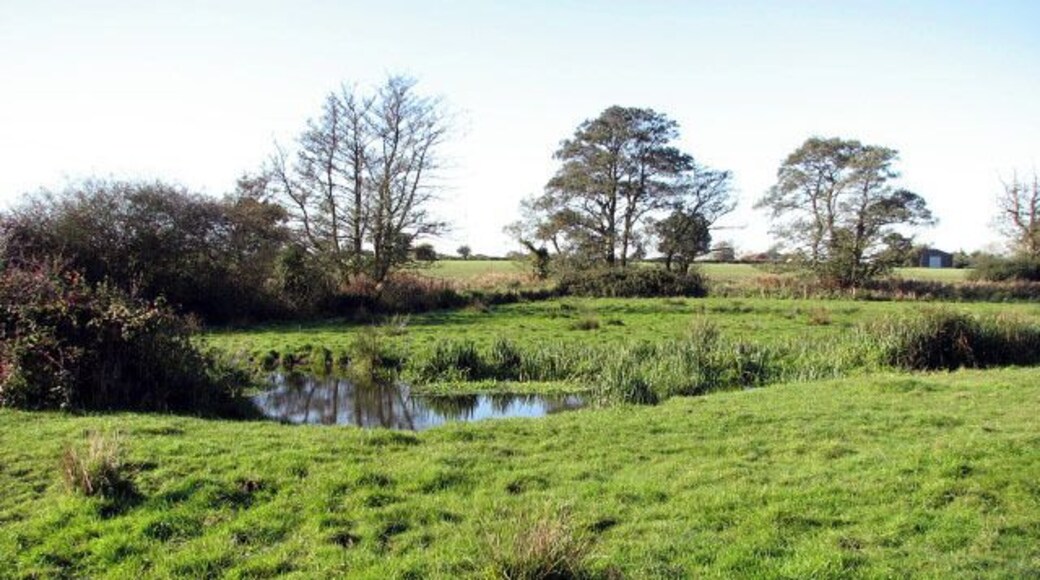 Waterlogged cattle pasture The drain seen in mid-distance is one of many that bisect these pastures beside the River Bure; the course of the river is denoted by the line of trees seen in the background. The view was taken in westerly direction from the public footpath which starts by the end of New Road, an area known as Journey's End > https://www.geograph.org.uk/photo/554082. It can be followed in northerly or in westerly direction - it leads over drains, through cattle pastures, always roughly following the course of the River Bure.
