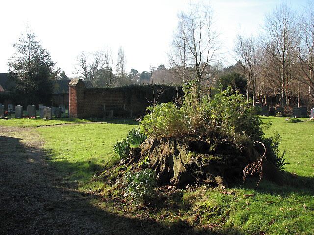 Remains of an ancient tree This tree trunk beside the path in the churchyard of St Gervase & St Protase church has been planted with flowers.