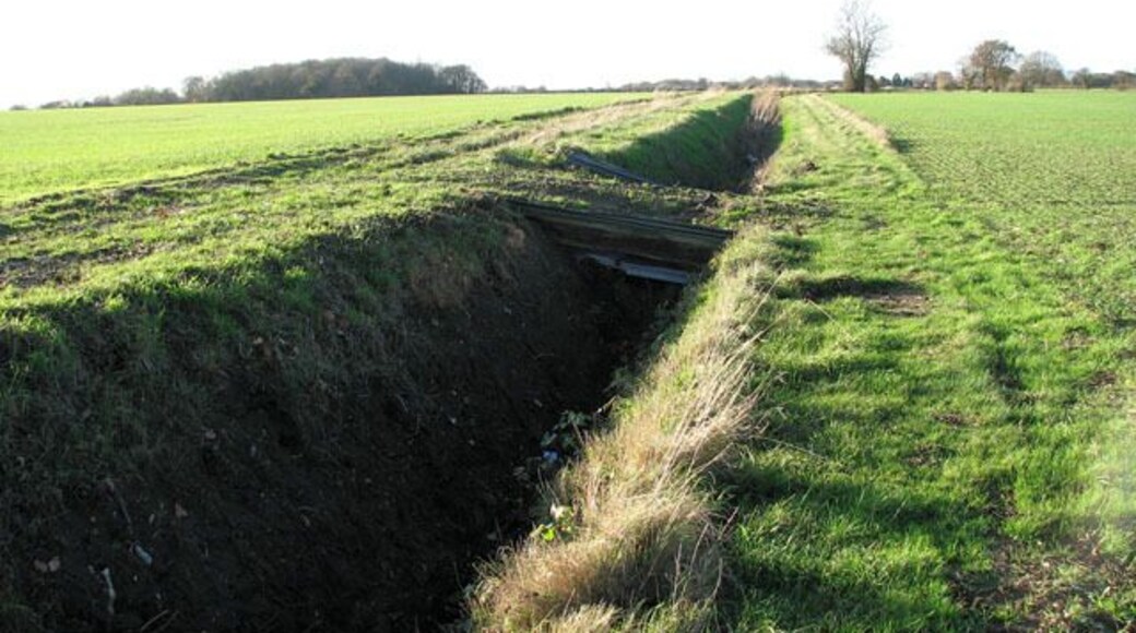 Farm bridge over ditch beside footpath. This public footpath starts by a former crossing cottage on the Waveney Valley Line > 1595953 - 1595964 west of the A140 (Norwich Road), leading westwards to Tivetshall St Margaret. The woodland seen in the background (at left) is Rectory Wood.