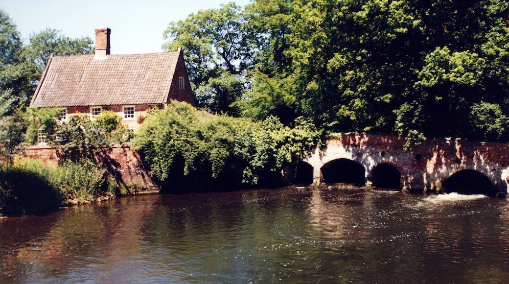 The old mill house and the ancient bridge support for the former paper mill, seen from Lyng Road Bridge.