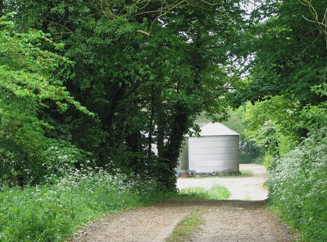 Uma trilha rural que leva a um pequeno edifício branco, cercado por vegetação exuberante.