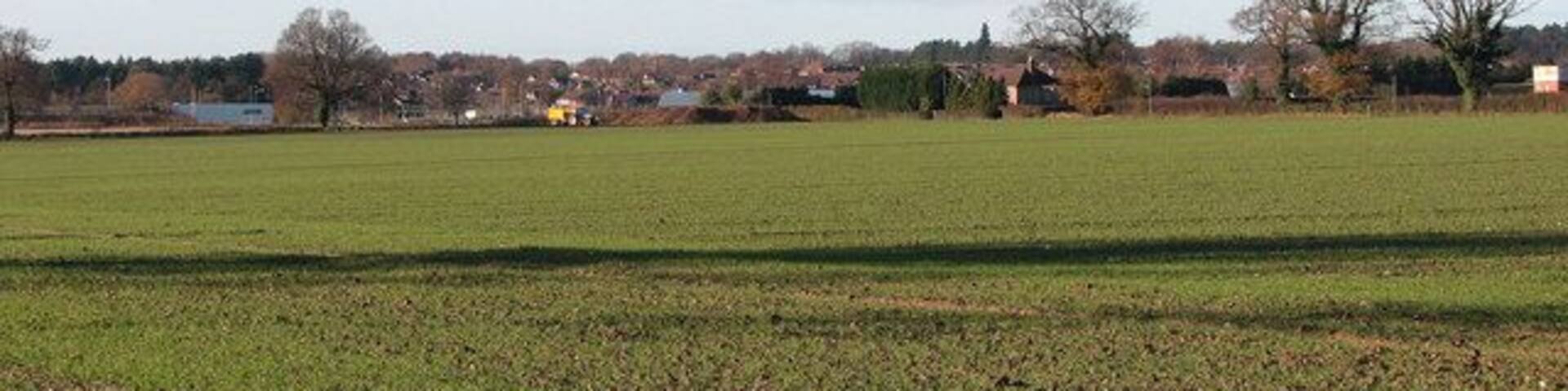 Field adjoining path. This view was taken from a public footpath which starts at Smee Lane > 919906 and leads to the A47, further to the south > 1068458 - 1068463. The field seen in the foreground, with a winter crop growing, adjoins the path in the west. Thorpe St Andrew can be seen in the distance (in adjacent grid square).