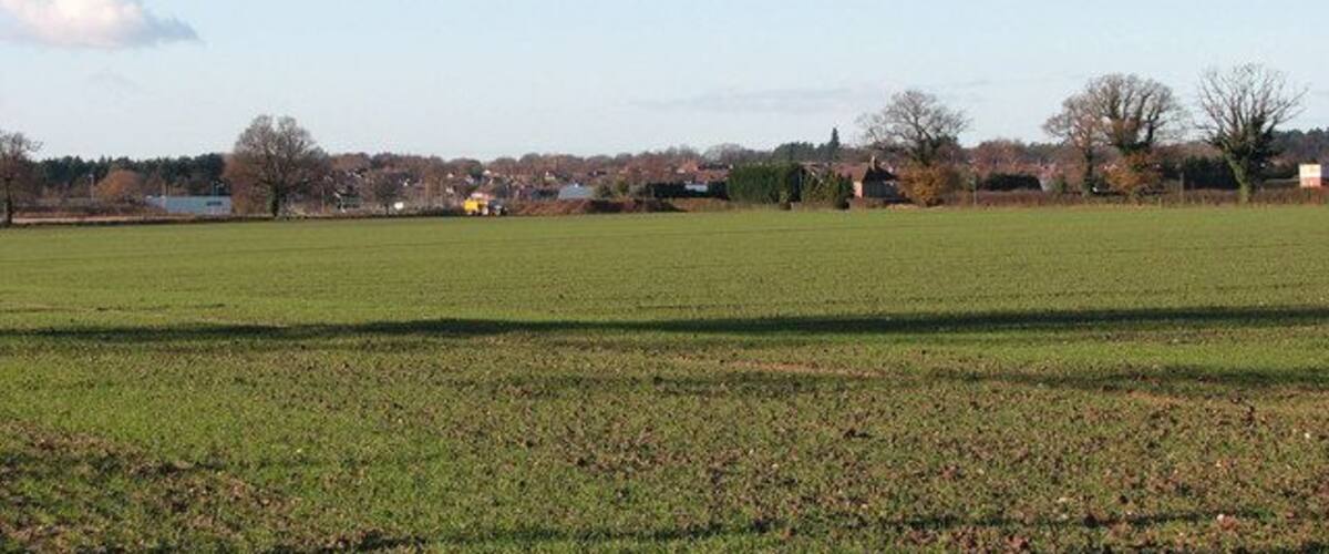 A large open field with a few trees and buildings in the distance.