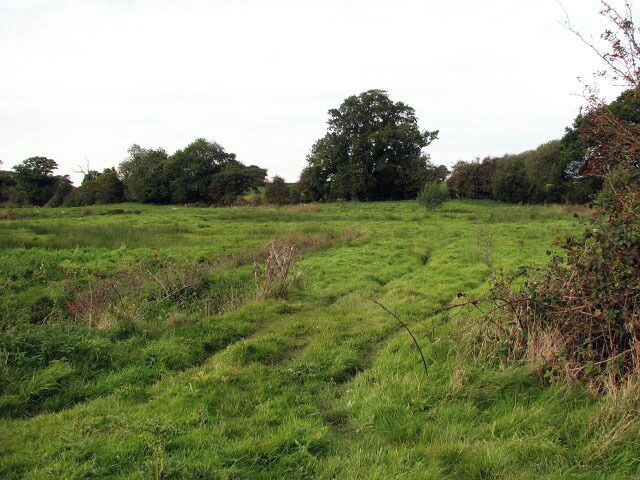 Farm track. This track traverses a sheep pasture beside Buxton Road > 1012352. Here a bridge > 1012391 carries it over the River Mermaid.