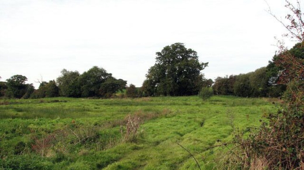 Farm track. This track traverses a sheep pasture beside Buxton Road > 1012352. Here a bridge > 1012391 carries it over the River Mermaid.