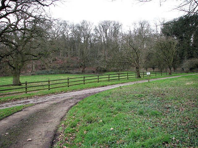 Where two tracks meet Here the narrow surfaced road joins another one that runs past a large cattle pasture. Further to the south it forms the boundary between Westlodge Hills and Longdell Hills; following it in northerly direction it leads to Ringland Plantation.