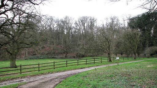 Where two tracks meet Here the narrow surfaced road joins another one that runs past a large cattle pasture. Further to the south it forms the boundary between Westlodge Hills and Longdell Hills; following it in northerly direction it leads to Ringland Plantation.