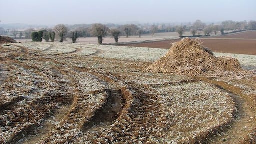 View from a hill Not all of Norfolk is flat - the landscape in North Norfolk was formed during the last ice age, leaving distinctive topographical features such as the steep northern slope and the more gentle southern face of the Cromer Ridge with its outlying spurs, hills and undulations. This view was taken in northwesterly direction across frozen fields. New Road, marked by the solitary trees growing alongside it, can be seen in the background.