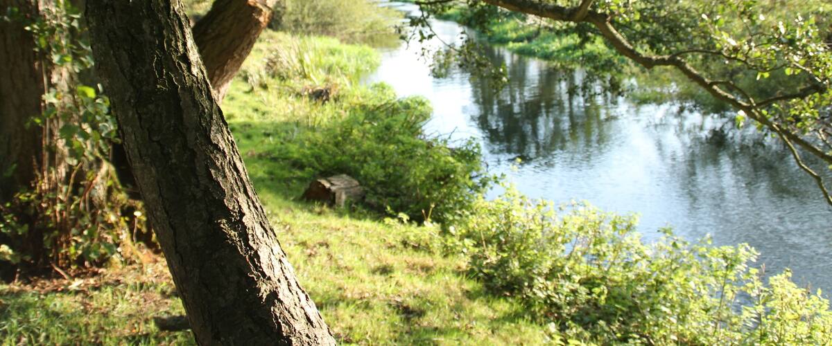 The River Wensum below Lyng Bridge, Norfolk, England