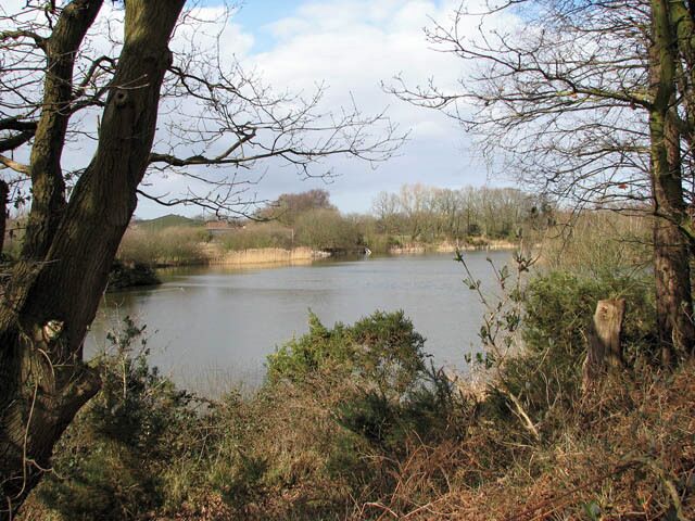 A private fishing lake This view was taken from the footpath which skirts the northwestern edge of Hevingham Park. The lake is private and surrounded by a fence to keep out trespassers.