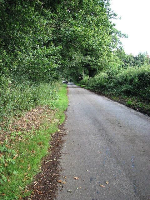 View north along Witton Lane Witton Lane connects Little Plumstead with the hamlet of Witton, further to the south.