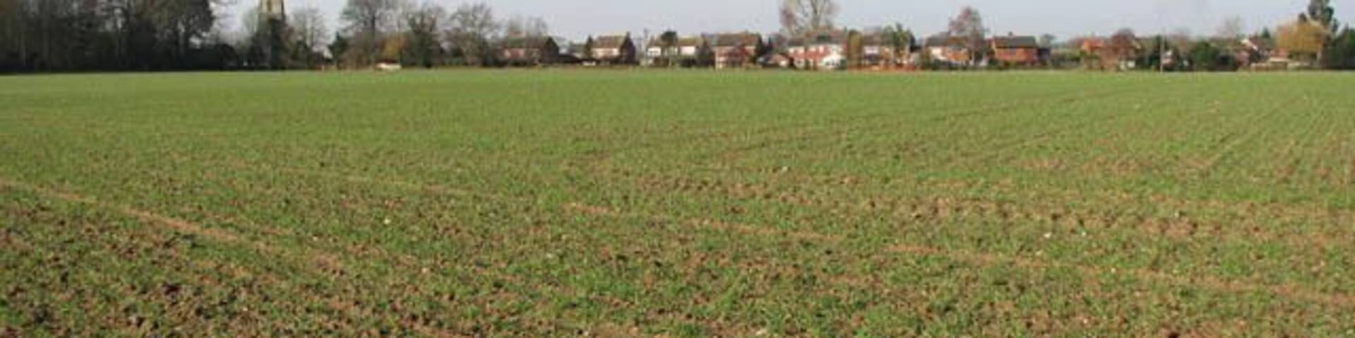 The village of Banningham. This view was taken from the public footpath which leads in easterly direction, linking Banningham Road with North Walsham Road. The houses seen in the background are located on Church Road. The tower of St Botolph's church > 860875 can be seen above the trees at left.