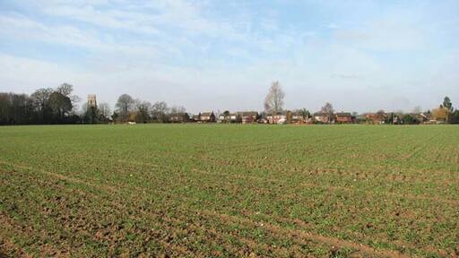 The village of Banningham. This view was taken from the public footpath which leads in easterly direction, linking Banningham Road with North Walsham Road. The houses seen in the background are located on Church Road. The tower of St Botolph's church > 860875 can be seen above the trees at left.