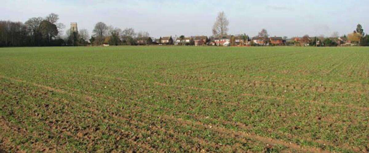 A rural landscape with a large open field, a few scattered houses, and a clear sky.