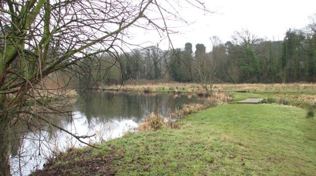 Path along the River Yare. The path starts by the junction of Whitlingham Lane and Bracondale, opposite St Andrew's church > 1670592. It leads in northerly direction, following the course of a drain which flows parallel with and empties into the River Yare. The meadow which the path traverses is bordered by Whitlingham Lane in the east. The lane can be accessed via stile and wooden steps > 1671067.