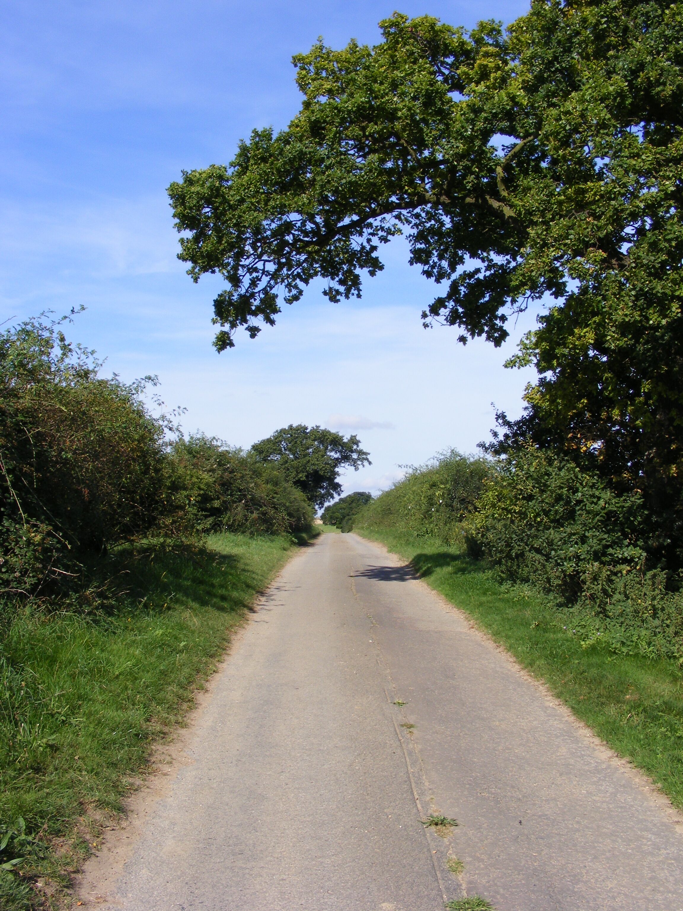 Transport Lane At this point there is a slight rise between the two south-north flowing streams.