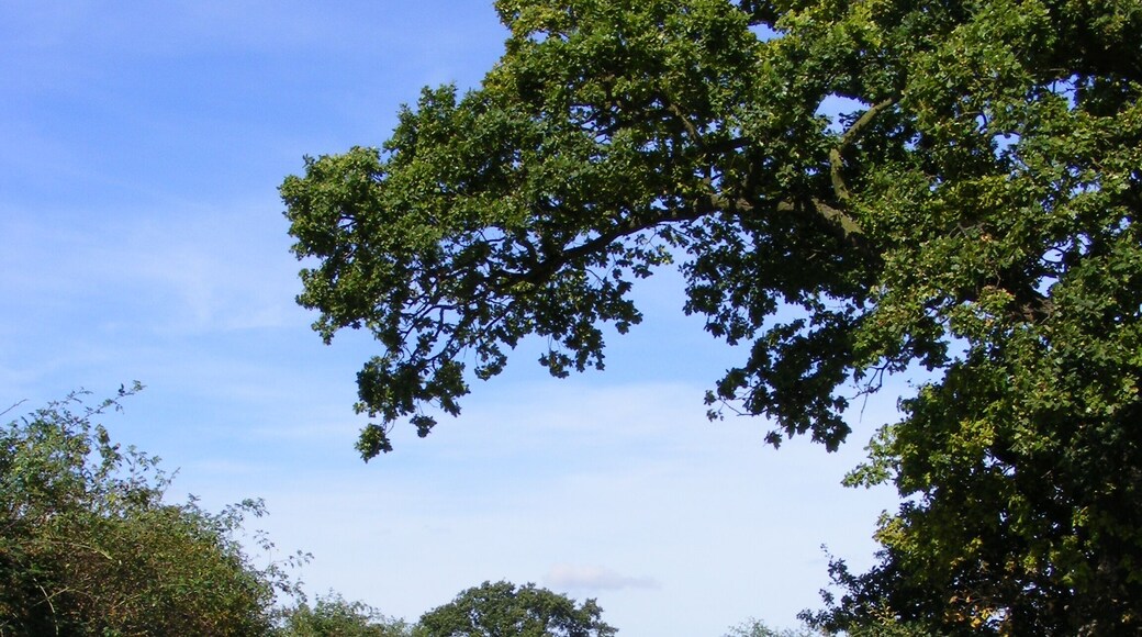 Transport Lane At this point there is a slight rise between the two south-north flowing streams.