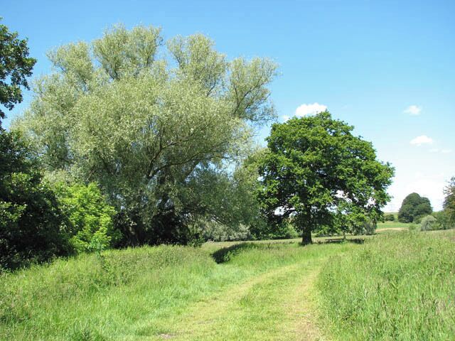 Trees by the River Tas. The willow tree has the number 05934. See also > 1352861. The footpath follows the course of the River Tas.