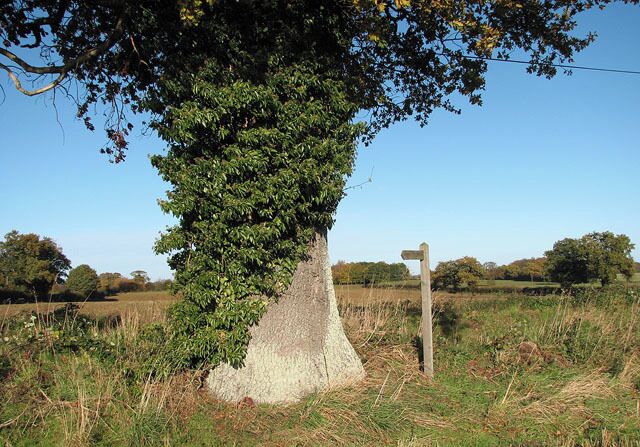 The start of a footpath. This public footpath turns off the unnamed road which links Burgh next Aylsham with Skeyton and Swanton Abbott, further to the east. It leads across a field > https://www.geograph.org.uk/photo/1039389 in southwesterly direction, crosses a farm road > https://www.geograph.org.uk/photo/1039396 and from there continues in southwesterly direction, following a field edge > https://www.geograph.org.uk/photo/1039444 all the way to Oxnead Hall > https://www.geograph.org.uk/photo/456378 and adjoining farm > 1039525.