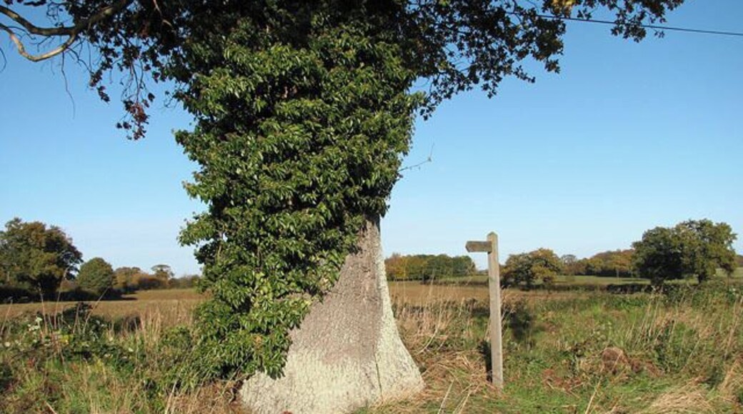 The start of a footpath. This public footpath turns off the unnamed road which links Burgh next Aylsham with Skeyton and Swanton Abbott, further to the east. It leads across a field > https://www.geograph.org.uk/photo/1039389 in southwesterly direction, crosses a farm road > https://www.geograph.org.uk/photo/1039396 and from there continues in southwesterly direction, following a field edge > https://www.geograph.org.uk/photo/1039444 all the way to Oxnead Hall > https://www.geograph.org.uk/photo/456378 and adjoining farm > 1039525.