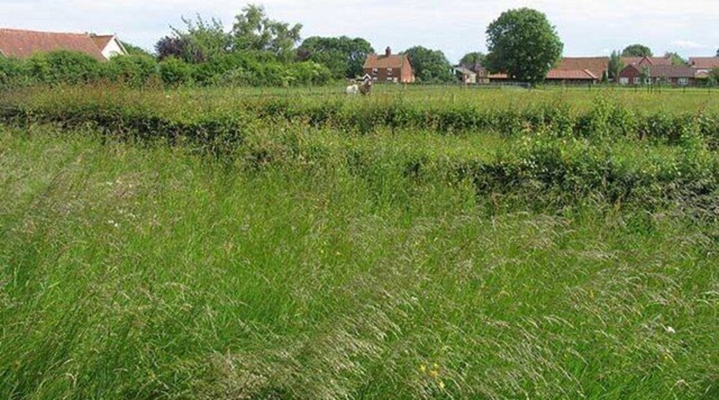 View from St Edmund, Forncett End, Norfolk