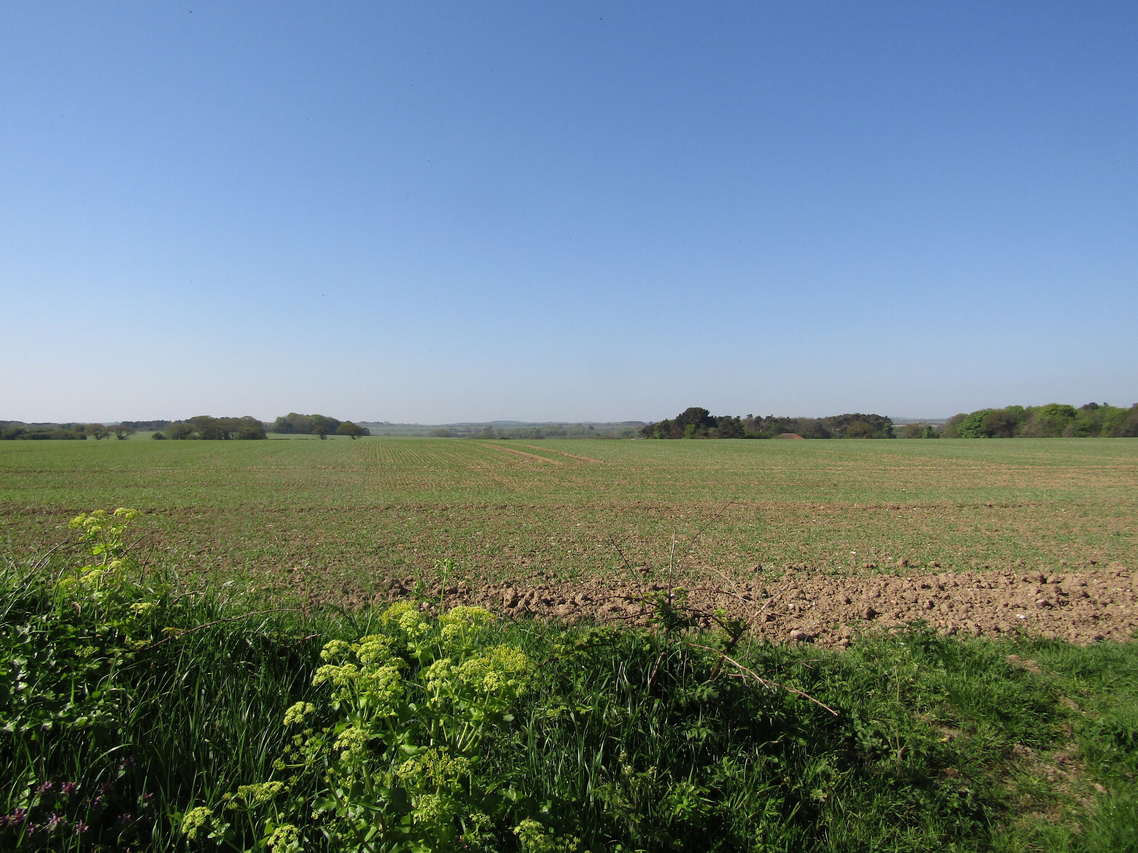 Looking south across the countryside from a lane which makes up a section of the Trimingham circular footpath located in the parish of Trimingham, Norfolk, England