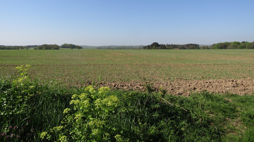 Looking south across the countryside from a lane which makes up a section of the Trimingham circular footpath located in the parish of Trimingham, Norfolk, England