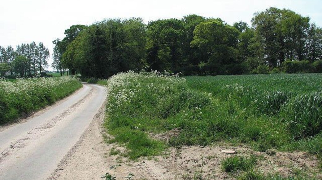 Moat viewed from the north. See also > 798441 and 798448