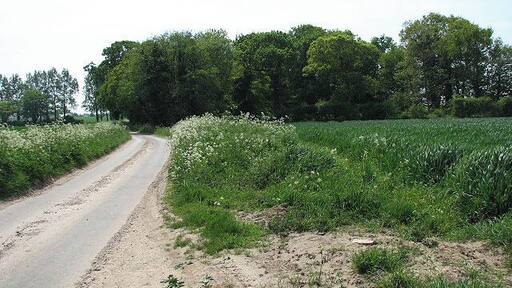 Moat viewed from the north. See also > 798441 and 798448