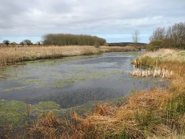 A rippled surface The strong wind creates ripples on the surface of the reservoir. This reservoir is fed by Mundesley Beck. The strip woodland seen in the background (in adjacent grid square) is Ash Plantation.