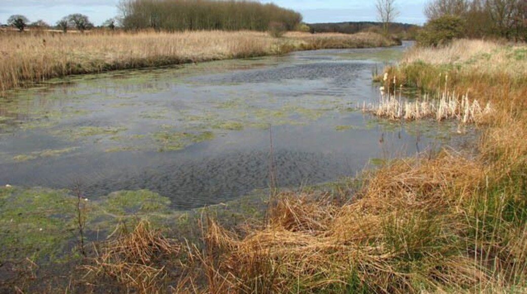 A rippled surface The strong wind creates ripples on the surface of the reservoir. This reservoir is fed by Mundesley Beck. The strip woodland seen in the background (in adjacent grid square) is Ash Plantation.