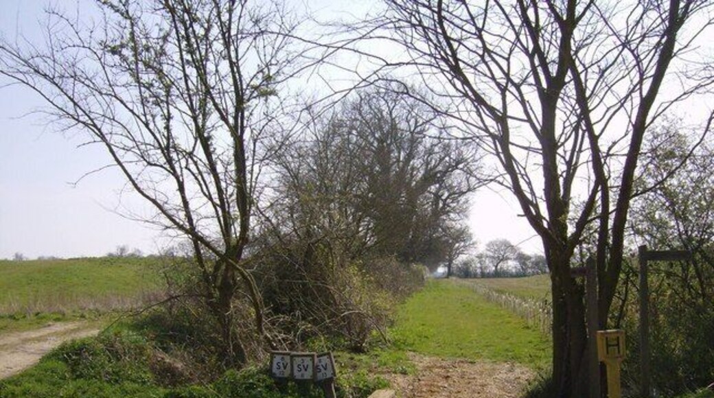 Inviting footpath From the road, which turns from east to north at this point, a footpath goes right (south) and this one continues east towards Brundish. The bank to the left is the bank of a reservoir which is partly in this square. A new reservoir, not yet shown on maps, has also been constructed to the right behind a line of saplings along the path. The presence of the reservoirs probably explains the proliferation of hydrant and stop valve signs here.